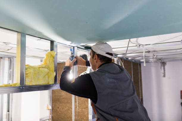 Best Insulation Installation Services in Fletcher, NC