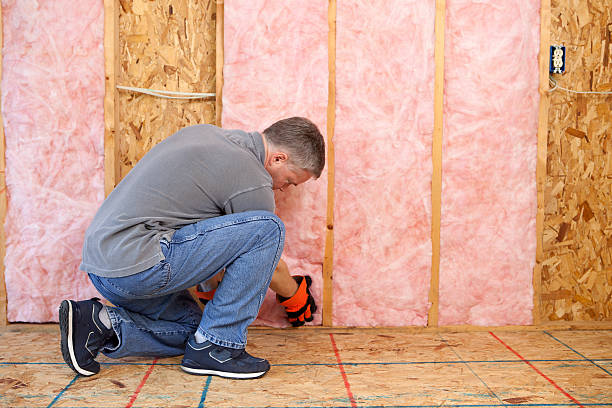 Best Residential Insulation in Fletcher, NC