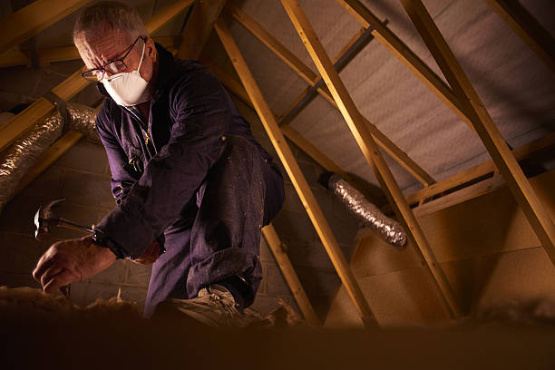 Best Insulation Materials and Products in Fletcher, NC