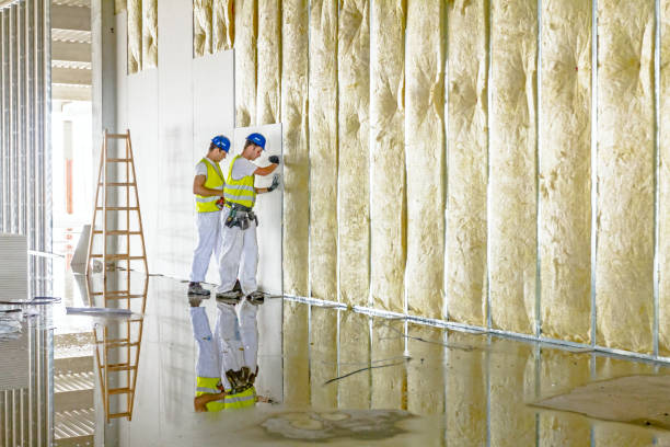Best Residential Insulation in Fletcher, NC
